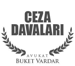 Ceza Davaları